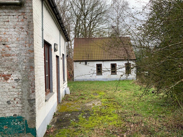 Papdijk41 afbeelding 4
