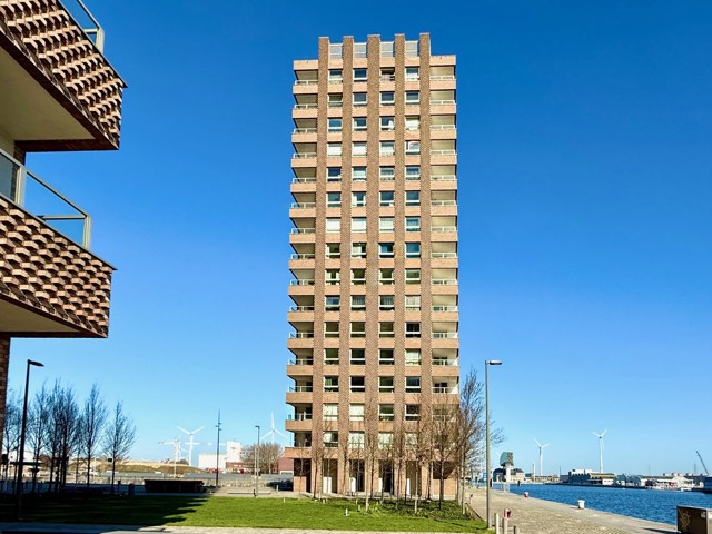 KATTENDIJKDOK - WEST afbeelding 1