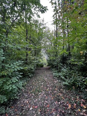 Bouwgrond - te koop - 1332 Rixensart