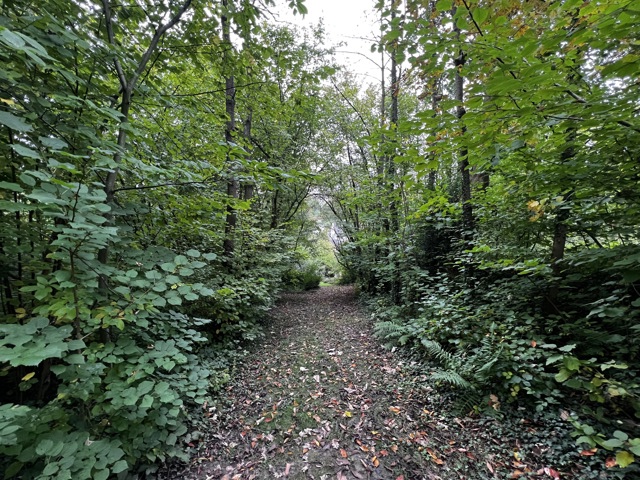 Bouwgrond - te koop - 1332 Rixensart