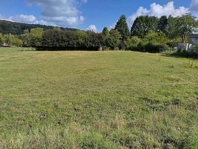 Terrain à bâtir - à vendre - 1390 Grez-Doiceau