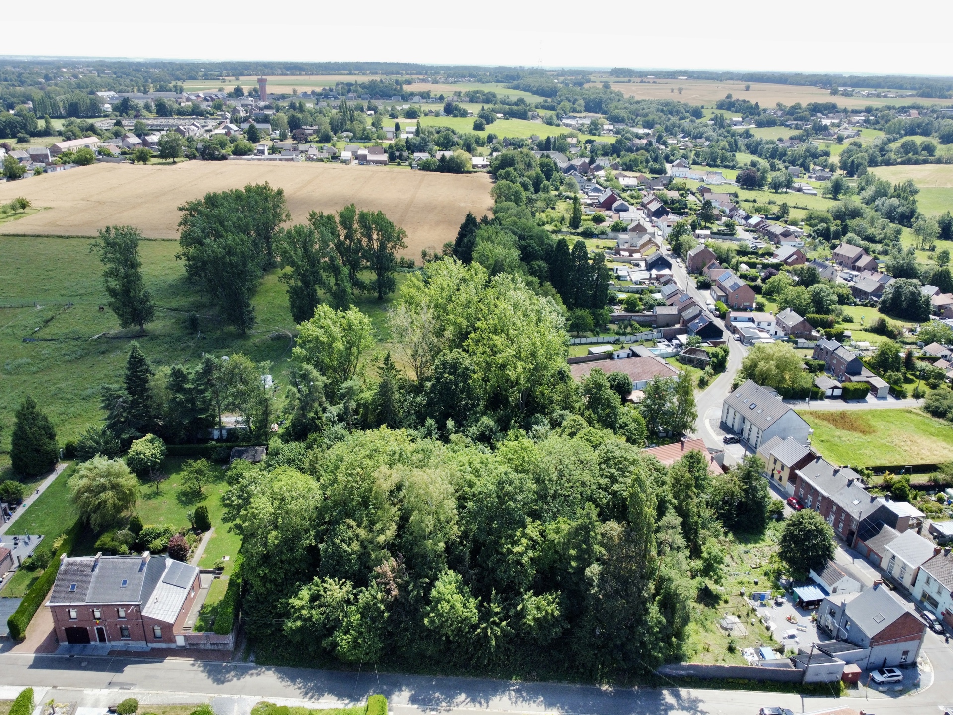 Terrain id�alement situ� - orient� plein sud !