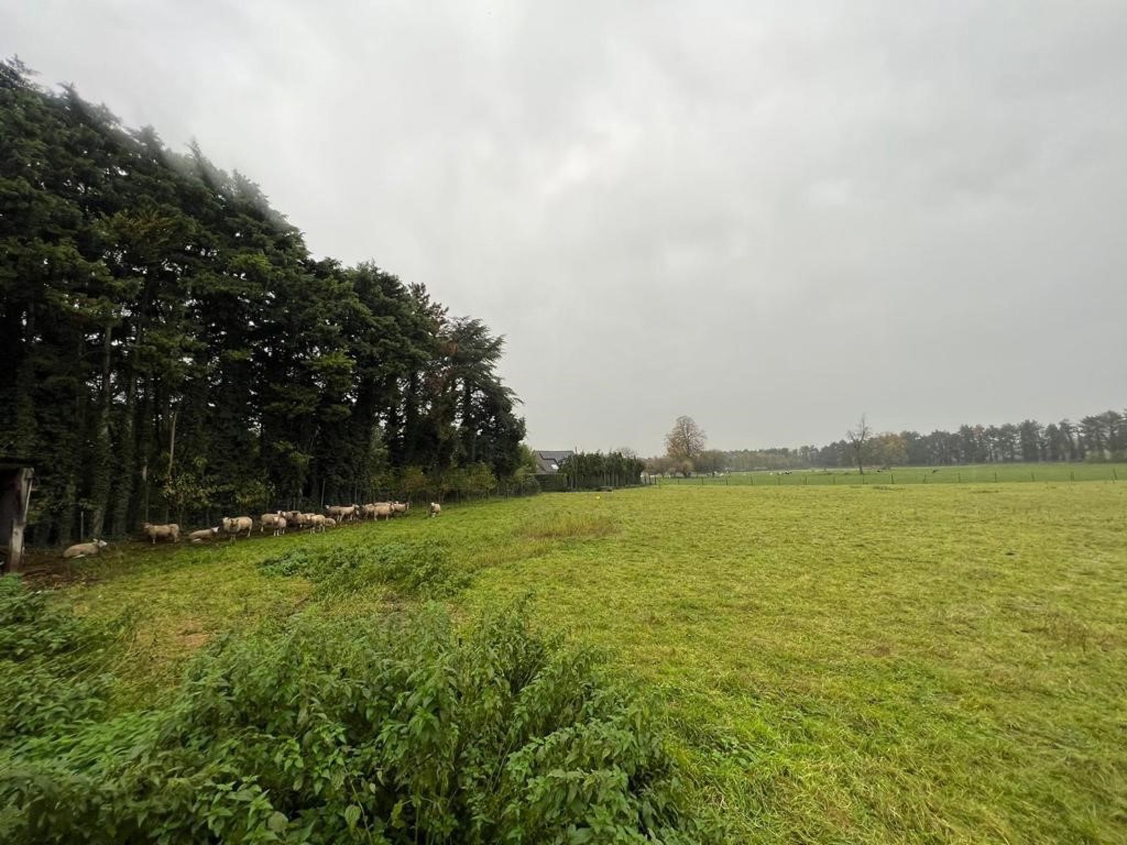 Vaste terrain à vendre sur Gaurain-Ramecroix 