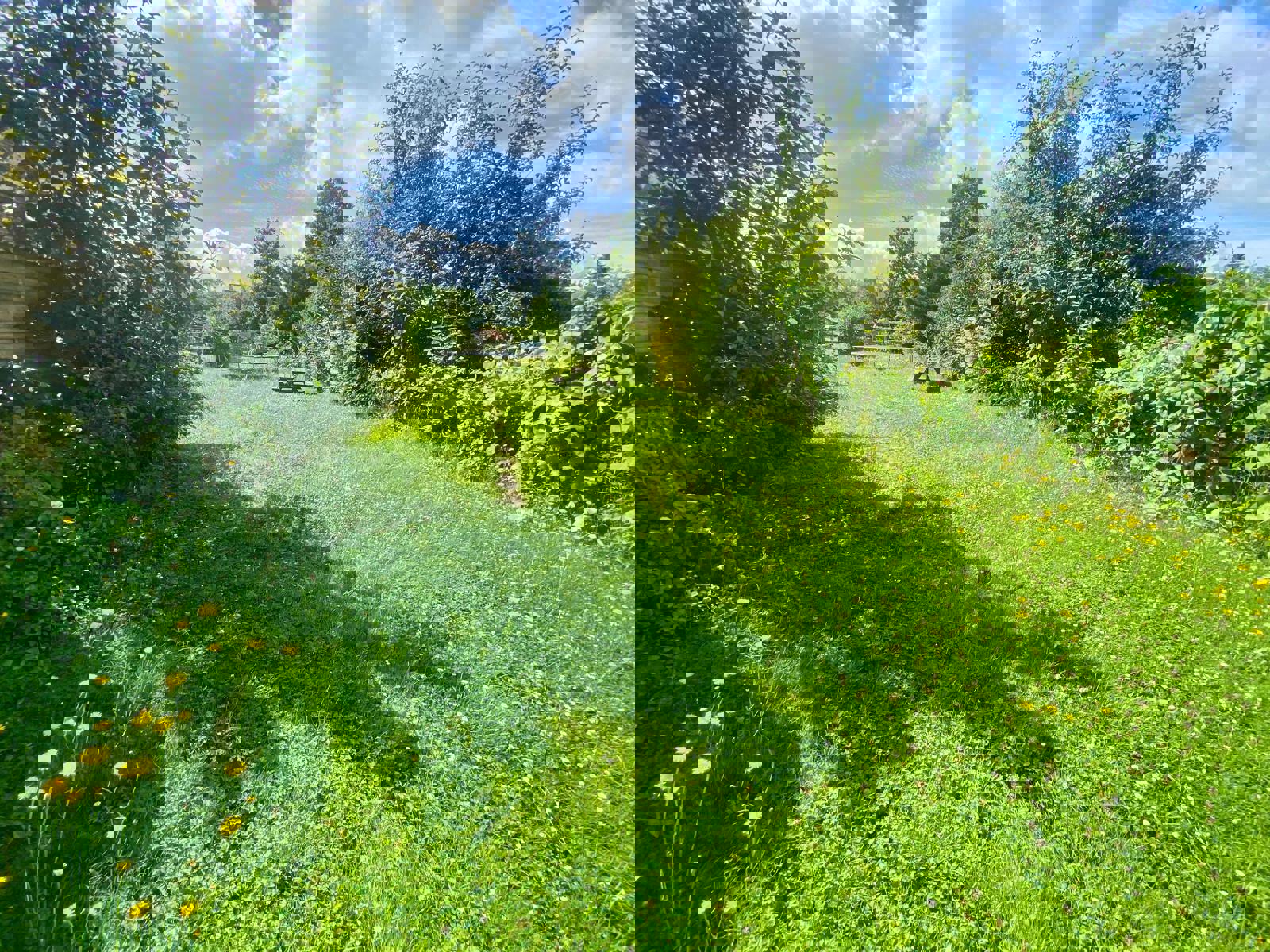 Vente Terrain Ronse.