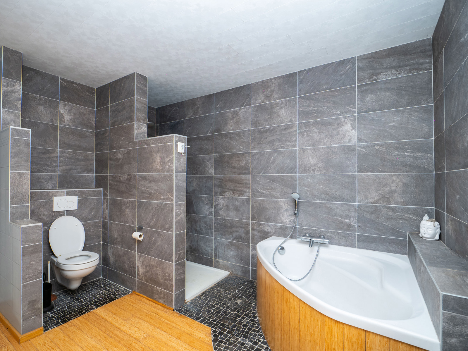 Maison rénovée, 4 chambres, aux allures de loft avec jardin