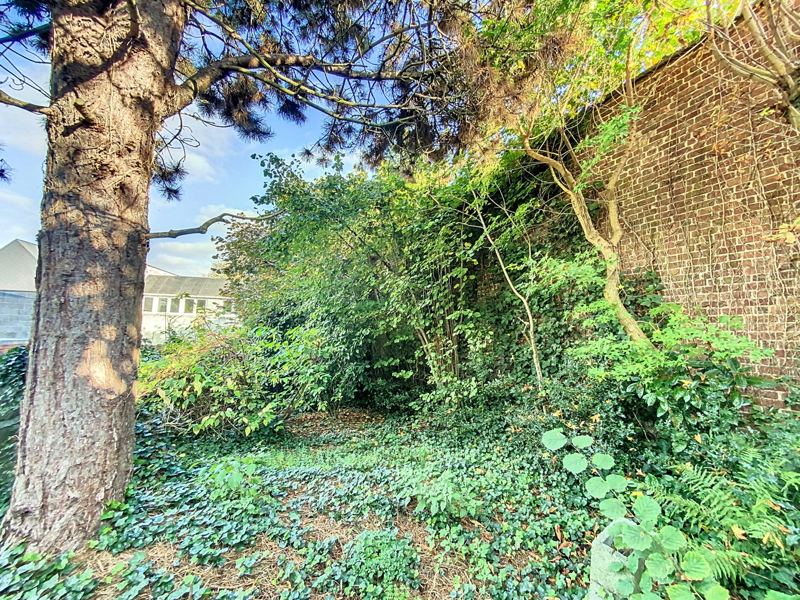 Maison bourgeoise à rénover, pleine de potentiel