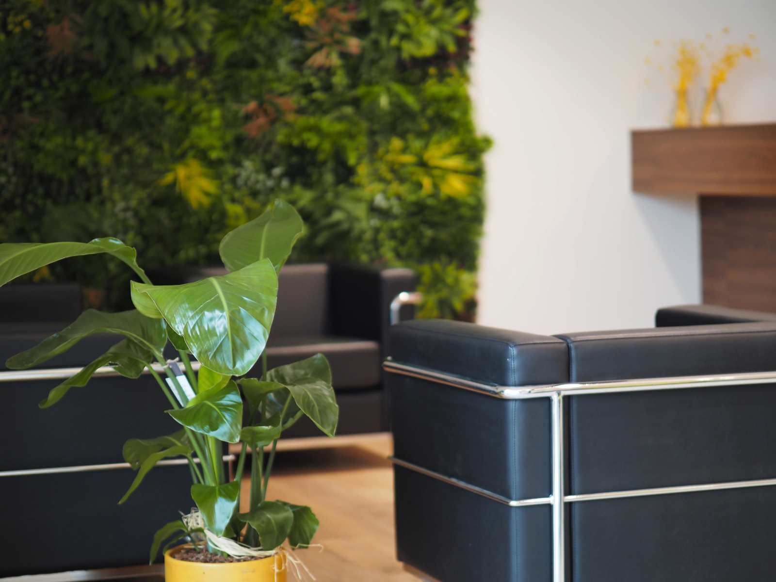 Splendide bureau à louer en open-space