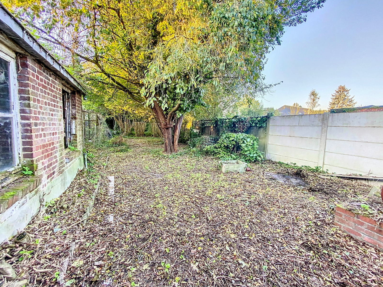 Maison de commerce avec jardin et espace habitation à Pecq
