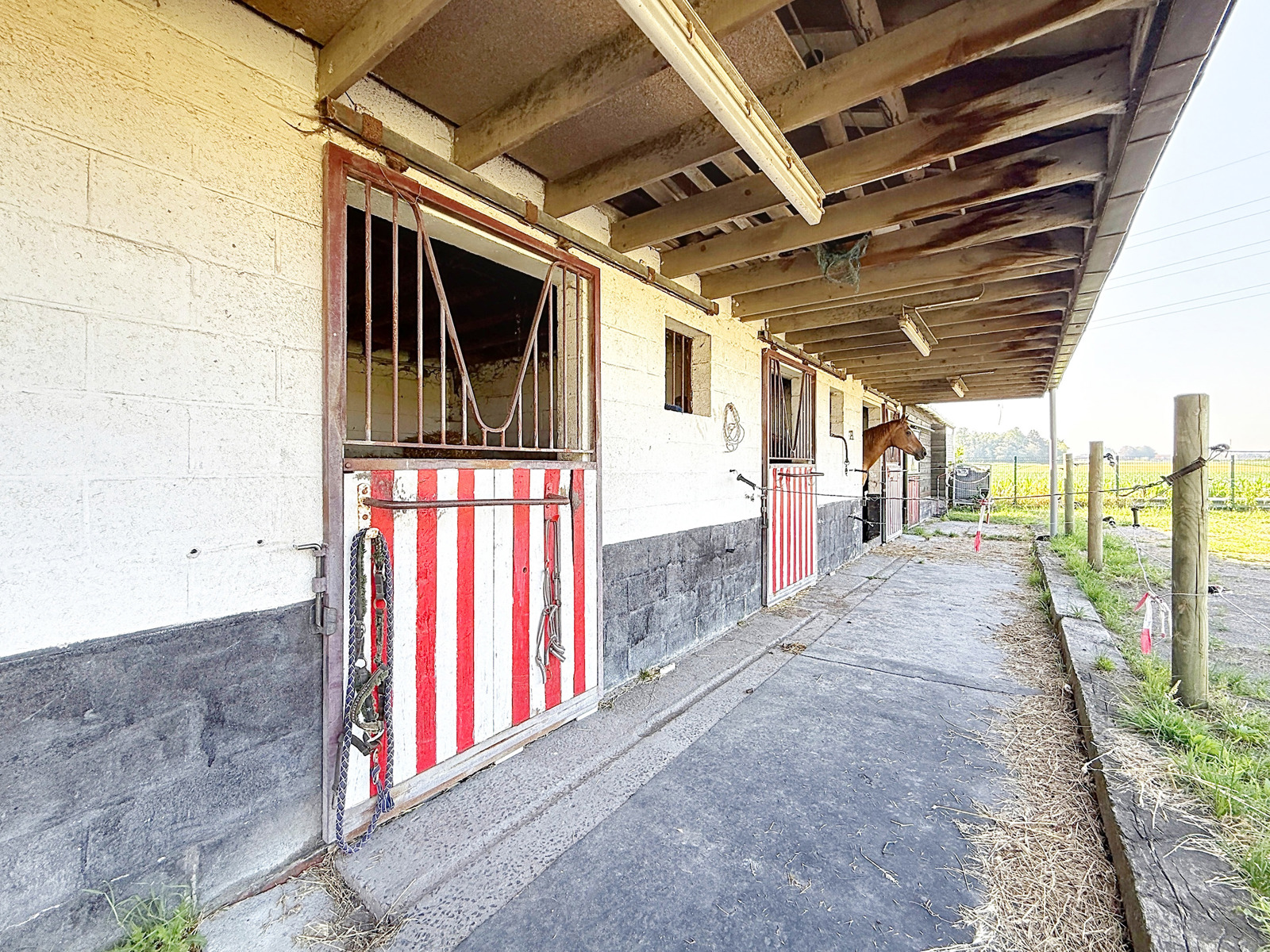 Maison de campagne 3 chambres, avec écuries