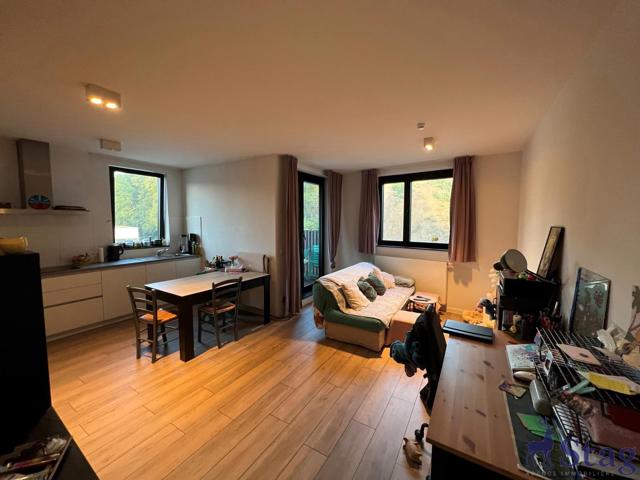 Bel appartement une chambre