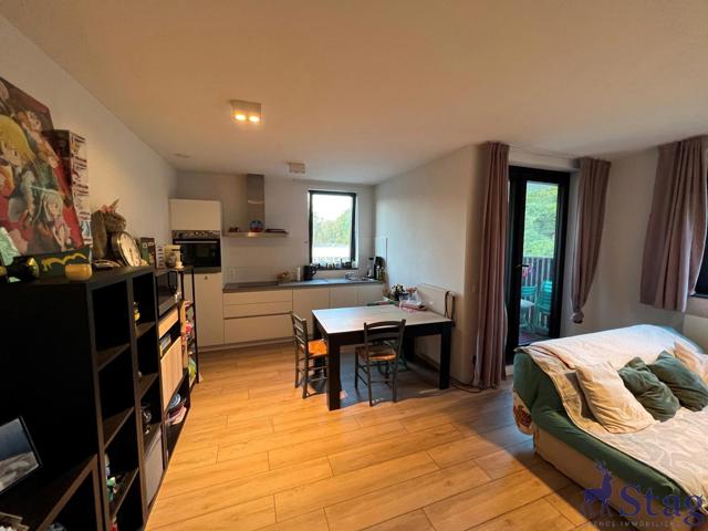 Bel appartement une chambre