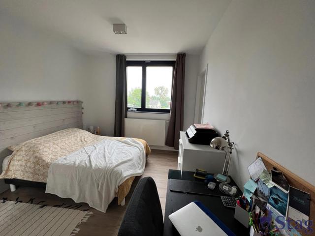 Lumineux appartement 1 chambre