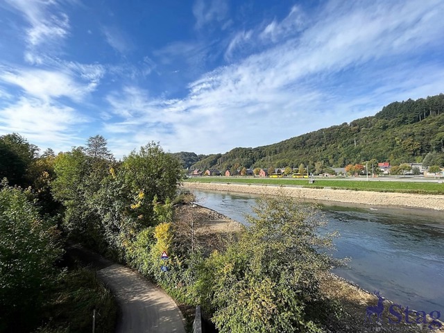 Magnifique villa mosane