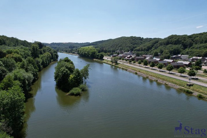 Magnifique villa mosane