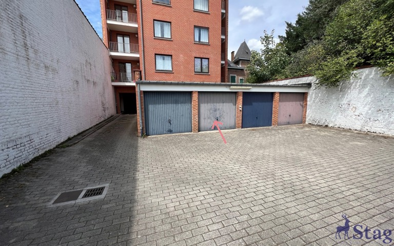 Lumineux appartement 1 chambre, cour, garage et cave