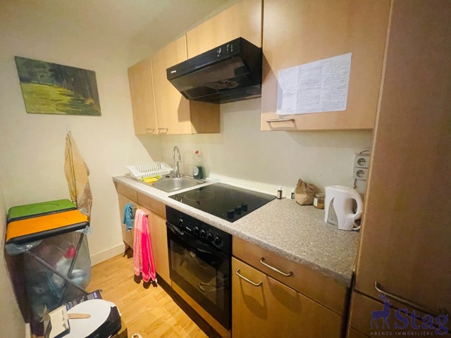 Appartement 1 chambre