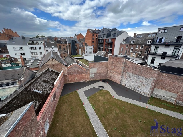 Magnifique appartement 1 chambre avec terrasse