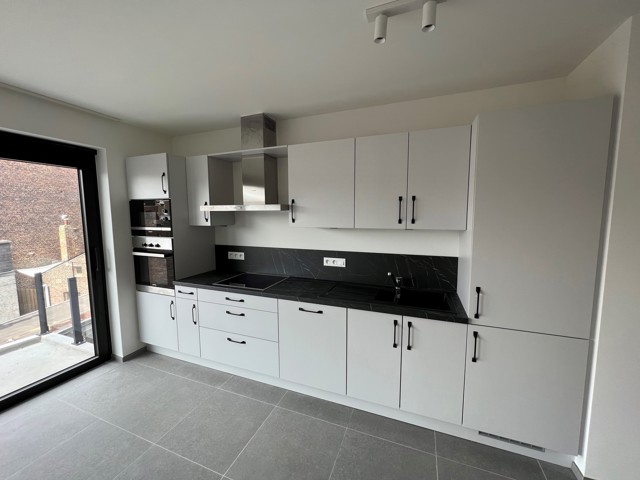 Magnifique appartement 1 chambre avec terrasse