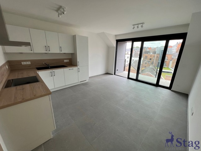 Magnifique appartement deux chambres, terrasse et cave