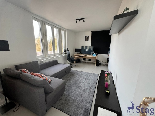 Appartement une chambre entièrement remis à neuf