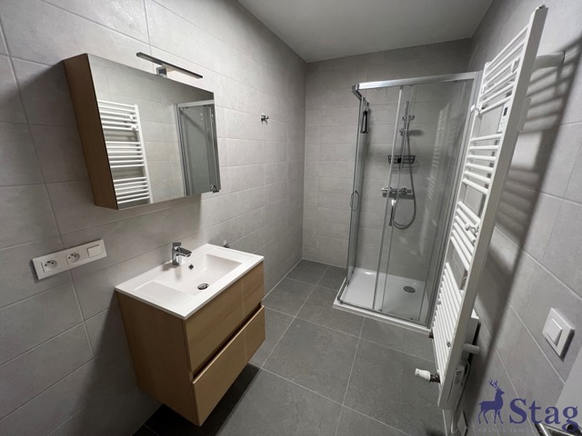 Magnifique appartement 1 chambre avec terrasse et cave
