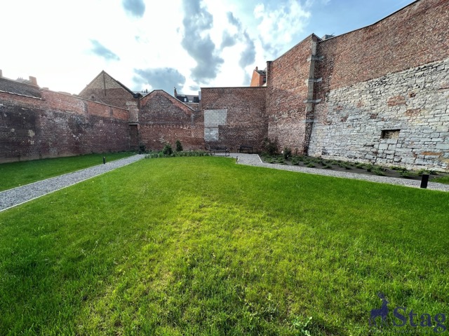 Magnifique appartement 1 chambre avec terrasse et cave