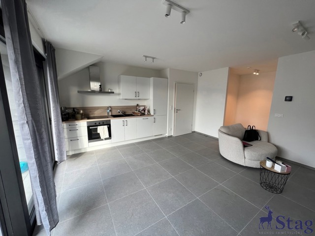 Magnifique appartement 1 chambre avec terrasse et cave