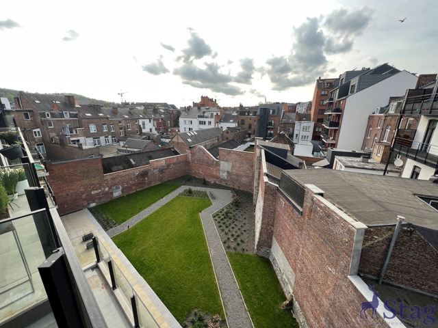 Magnifique appartement 1 chambre avec terrasse et cave