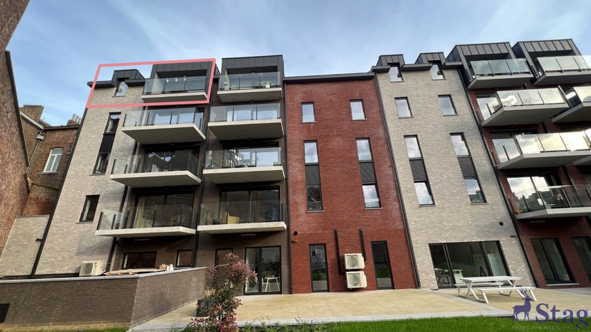 Magnifique appartement 1 chambre avec terrasse et cave