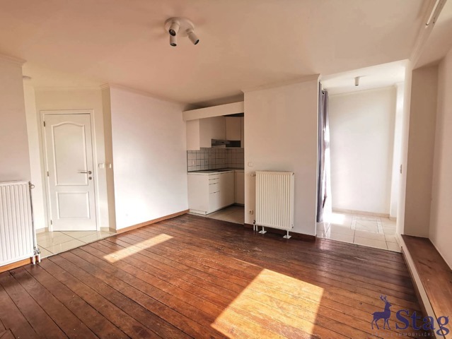 Appartement 1 chambre fraîchement rénové avec extérieur