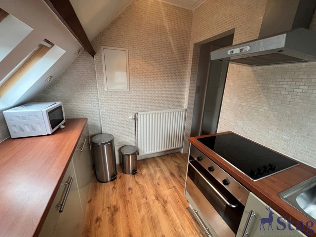 Charmant appartement 1 chambre avec cave