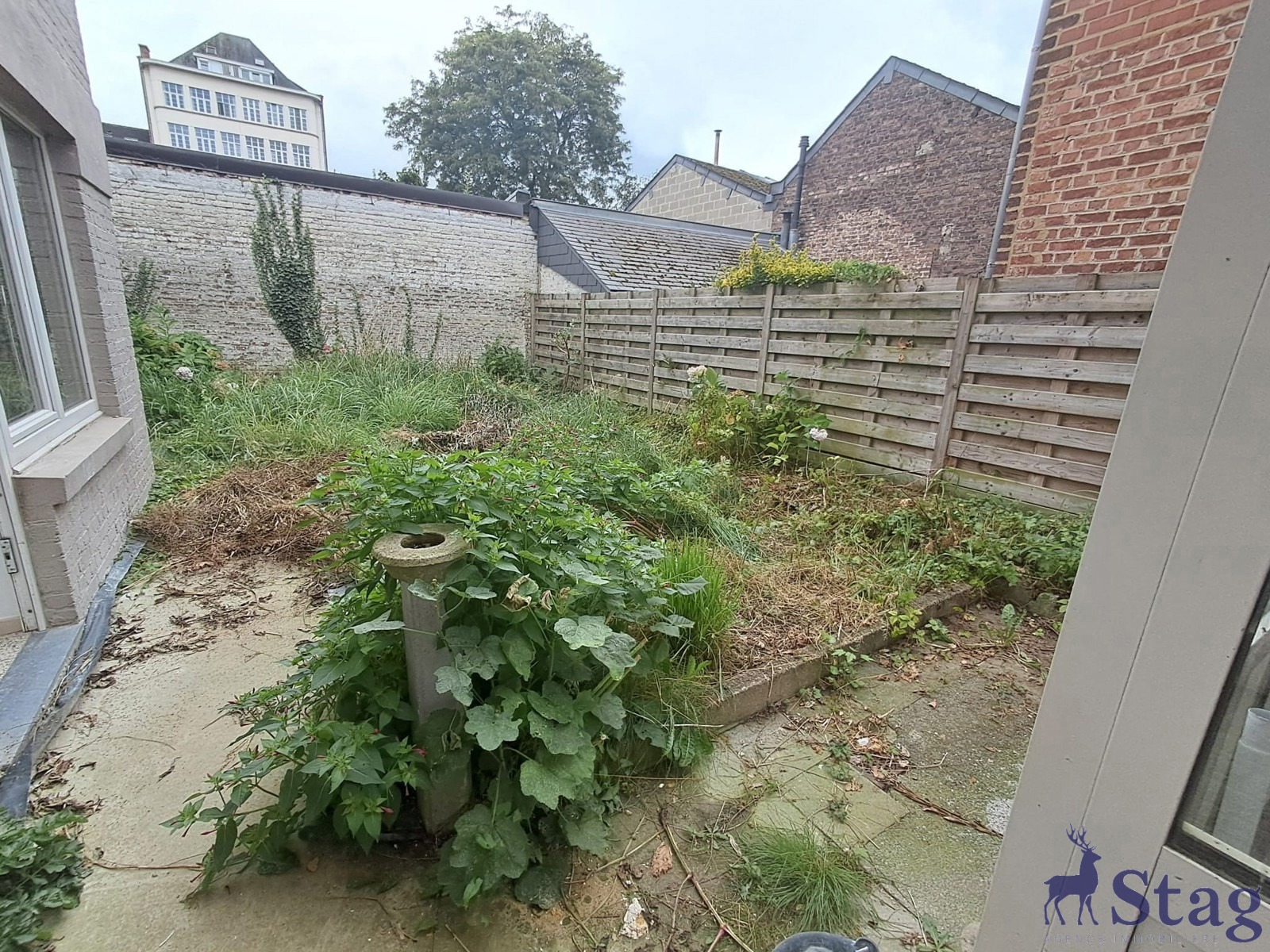 Appartement 1 chambre au rez-de-chaussée avec jardin et cave