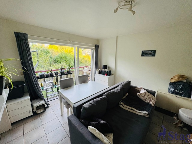 Appartement 1 chambre avec terrasse et parking extérieur
