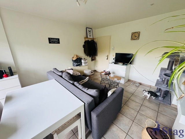 Appartement 1 chambre avec terrasse et parking extérieur