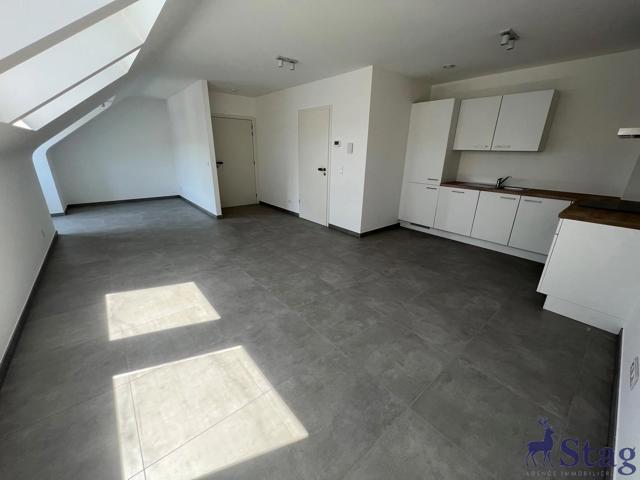 Lumineux appartement 1 chambre avec parking et cave