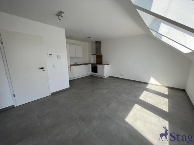 Lumineux appartement 1 chambre avec parking et cave
