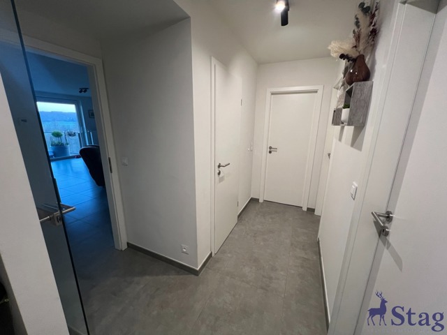 Appartement 2 chambres, terrasse, box garage, parking, cave