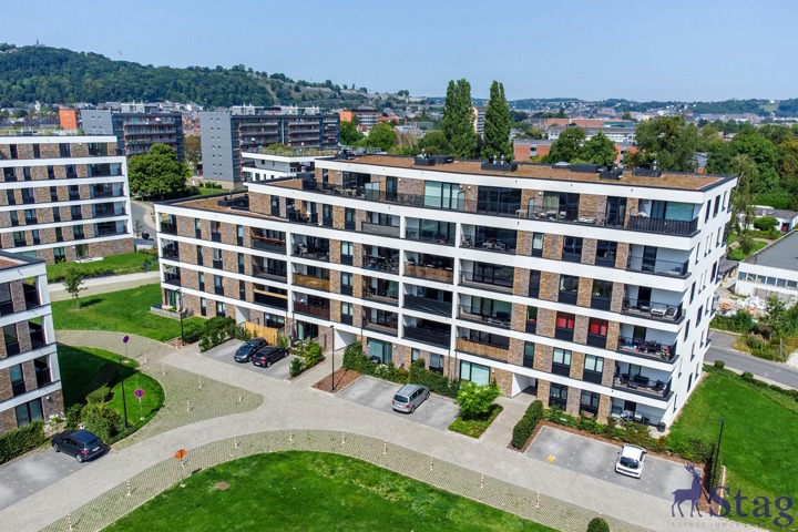 Bel appartement 1 chambre avec terrasse, parking et cave