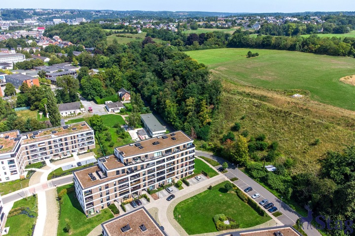 Bel appartement 1 chambre avec terrasse, parking et cave