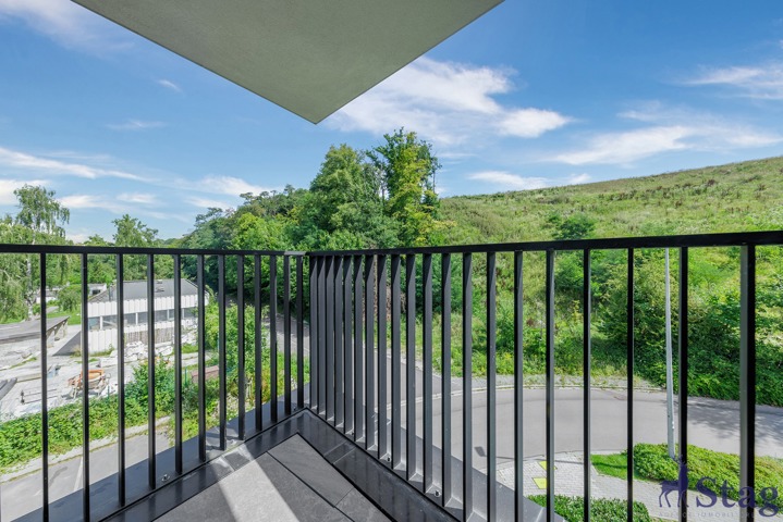 Bel appartement 1 chambre avec terrasse, parking et cave