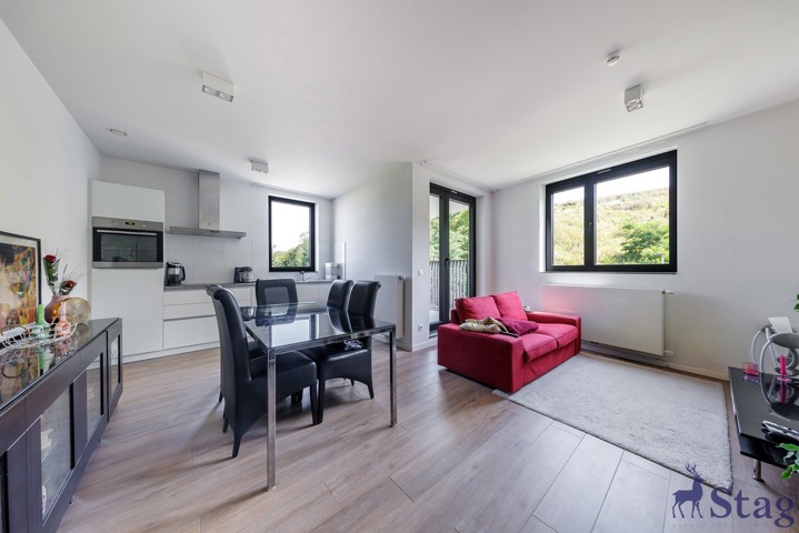 Bel appartement 1 chambre avec terrasse, parking et cave