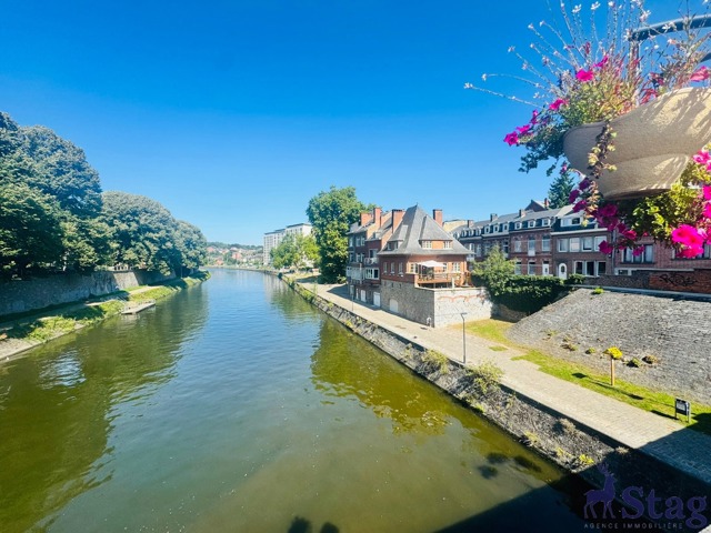 Magnifique duplex 1 chambre avec vue sur la Sambre