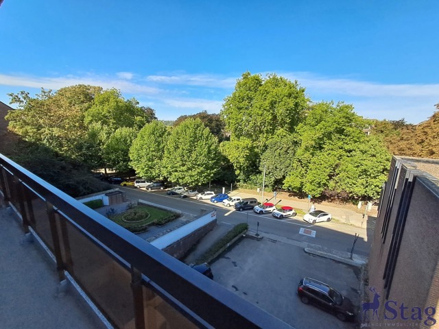 Bel appartement traversant de 3 chambres, cave et grenier