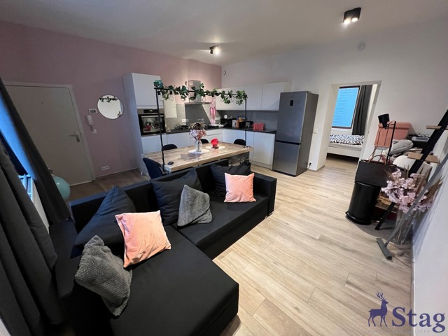 Bel appartement 1 chambre avec parking et cave