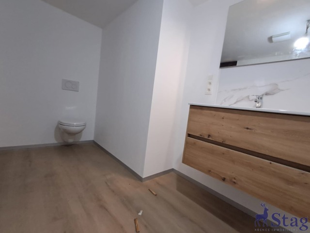 Appartement 1 chambre rénové avec jardin