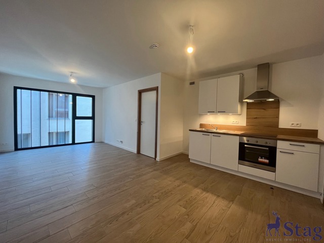 Appartement une chambre idéalement situé