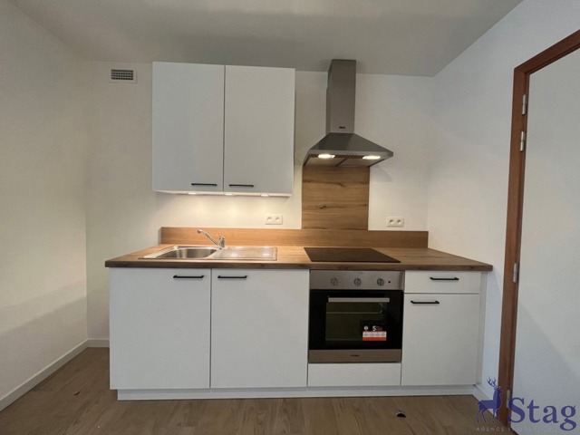 Appartement une chambre idéalement situé