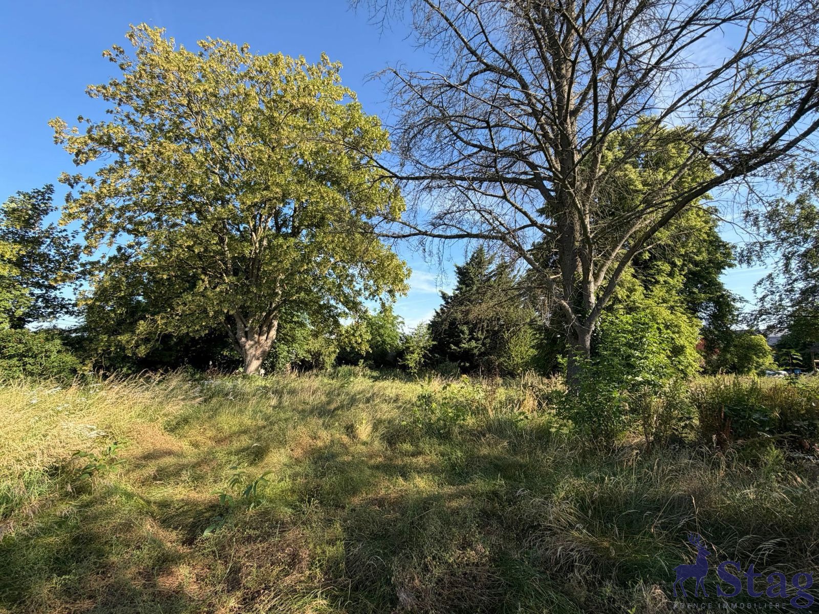 Terrain à bâtir