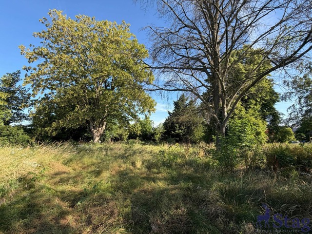 Terrain à bâtir