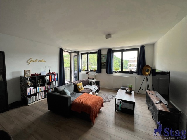 Spacieux appartement 2 chambres terrasse, parking et cave